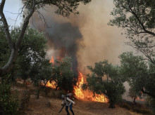 internacional/20260730/incendios-grecia-dejan-tres-bomberos-muertos-8000-evacuados_445123