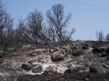espana/madrid/20260730/incendio-madrid-esta-claramente-estabilizado-aunque-calor-amenaza-trabajos-extincion_445152
