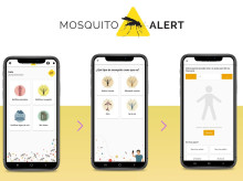 sociedad/20260730/mosquito-alert-aplicacion-ayuda-prevenir-enfermedades-detectar-especies-invasoras_445230