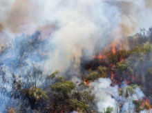 sociedad/sociedad-medio-ambiente/20260731/ultima-hora-incendios_445491
