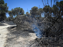 espana/madrid/20260731/casi-50-medios-continuan-remate-incendio-sierra-oeste-reproduccion-pantano_445546
