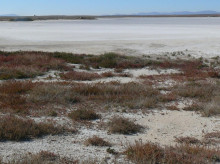 espana/castilla-la-mancha/20260907/insolita-laguna-toledo-puede-ayudar-descubrir-hubo-vida-marte_445588