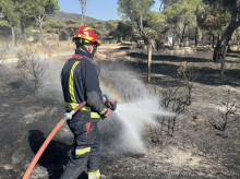 espana/madrid/20260802/veinte-dotaciones-bomberos-siguen-trabajando-incendio-madrid-reproducciones-durante-noche_446056