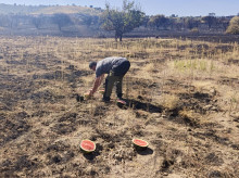 espana/castilla-y-leon/20260803/cazadores-zamoranos-movilizan-alimentar-animales-monte-incendio-fermoselle_446112