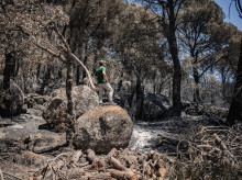 espana/castilla-y-leon/20260803/incendio-burgohondo-avila-sigue-estable-llama-viva-aunque-persiste-riesgo-reactivaciones_446234