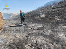 espana/castilla-y-leon/20260804/guardia-civil-detiene-soria-hombre-provocar-incendio-forestal-radial_446765