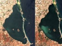 sociedad/sociedad-medio-ambiente/20260805/mancha-blanca-aparecido-mar-menor-estaria-destruyendo-fondo-marino_446954
