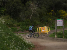 espana/cataluna/barcelona/20260806/vecinos-hartos-no-poder-collserola-peste-porcina-russell-crowe-puede-nosotros-no_447036