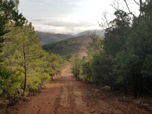 campo-y-caza/20260808/fuegos-burocracia-forestales_447163