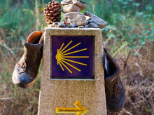 religion/20260816/camino-santiago-historia-rutas-sigue-atrayendo-miles-peregrinos-cada-verano_447574