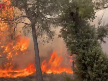sociedad/20260808/durante-semana-eclipse-solar-pueden-producir-incendios_447912