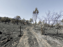 espana/madrid/20260808/comunidad-madrid-persona-como-acusacion-popular-causa-incendio-forestal-lozoyuela_447948