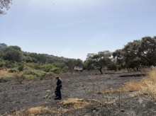 espana/la-voz-de-cordoba/provincia/20260809/grave-negligencia-cordoba-investigado-incdendio-160-hectareas-usar-herramientas-mecanicas_448003