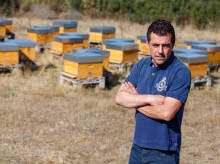 espana/castilla-y-leon/20260809/marca-garantia-miel-bierzo-cumple-ano-meta-sobreponerse-incendios-verano_448036