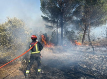 espana/madrid/20260810/madrid-moviliza-millon-euros-ayudas-agricultores-ganaderos-afectados-incendios_448288