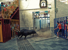 espana/comunidad-valenciana/20260811/fiestas-vaca-castalla-2026-programa-completo-nuevo-recorrido-encierro-novedades-tardeo_447437