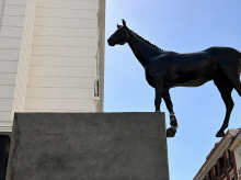 espana/madrid/20260811/nueva-escultura-caballo-flotante-seis-metros-suelo-genera-debate-madrid-esto_448332