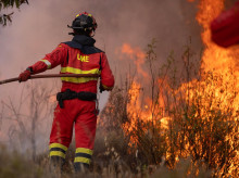 sociedad/sociedad-medio-ambiente/20260818/espana-registra-254730-hectareas-quemadas-hasta-17-agosto-primera-vez-menos-verano-pasado_450203