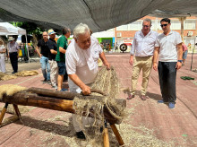espana/comunidad-valenciana/20260814/feria-canamo-callosa-segura-reivindica-valor-artesania-como-patrimonio-atractivo-turistico_449503