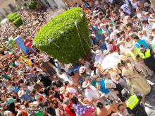 espana/comunidad-valenciana/20260815/betera-saca-alfabegues-gigantes-calle-programa-completo-fiestas-2026_449507