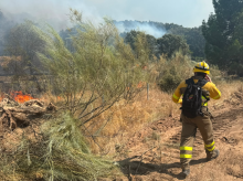 espana/madrid/20260821/desactivado-nivel-1-incendio-aldea-fresno-pasa-situacion-operativa-0_451114
