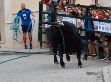 espana/la-voz-de-cordoba/cultura/20260821/toro-cuerda-diablilla-fuenteovejuna-obk-vendimia-flamenca-asi-fin-semana-cordoba_450712