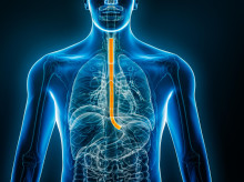 sociedad/20260821/japon-estrena-telomelysin-primer-tratamiento-contra-cancer-esofago-basado-virus-modificados_451348