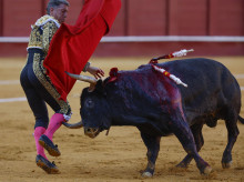 cultura/20260821/gesto-torero-manuel-escribano-herido-no-pasa-enfermeria-hasta-lidiar-segundo-toro-hijo-indulto_451079