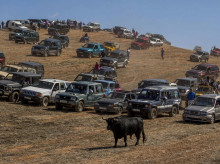 motor/20260823/toro-campo-tradicion-astados-disfrutan-desde-todoterreno-fiestas-pueblos_451388
