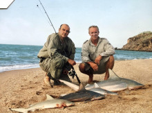 campo-y-caza/20260826/salvamos-bufalos-australianos_452174