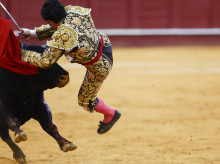cultura/20260826/morante-no-toreara-cuenca-dolor-causado-cogida-malaga_452294