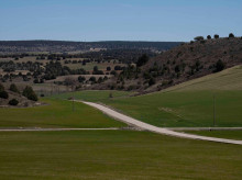 espana/castilla-la-mancha/20260827/rebelion-busca-salvar-7500-kilometros-cuadrados-guadalajara-macrogranjas_452353
