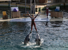 estilo-vida/viajar/20260827/activo-turistico-espana-le-robado-francia-ley-bienestar-animal_452561