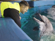 espana/comunidad-valenciana/20260827/complejo-traslado-dos-belugas-cuatro-delfines-canada-valencia-evitar-eutanasia_452736