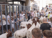 espana/comunidad-valenciana/20260827/terra-festes-celebracion-lliber-canet-roig-montserrat_452775