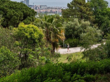 sociedad/sociedad-medio-ambiente/20260902/inesperado-efecto-arboles-ciudades-durante-olas-calor-emisiones-disparan_452812