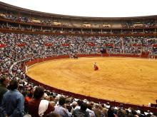 cultura/20260828/muere-55-anos-mientras-hacia-deporte-torero-retirado-cayetano-julia_453141