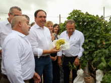 espana/comunidad-valenciana/20260902/perez-llorca-anuncia-ocho-millones-ayudas-incorporar-200-jovenes-agricultores-campo-valenciano_454563