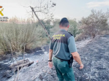 espana/la-voz-de-cordoba/sociedad/20260903/cuatro-cinco-incendios-forestales-esclarecidos-guardia-civil-julio-fueron-causados-negligencias_455095