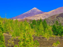 sociedad/sociedad-medio-ambiente/20260905/significa-acumulacion-magma-detectada-bajo-tenerife-relacion-terremotos_455127