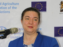 internacional/20260904/muere-forma-repentina-53-anos-embajadora-union-europea-zimbabue_455293