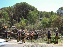 espana/madrid/20260904/madrid-restringe-acceso-12-montes-sierra-oeste-mientras-retira-arbolado-quemado_455356