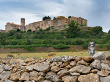 estilo-vida/viajar/20260909/bonito-pueblo-medieval-castellon-custodia-carrasca-500-anos-75-toneladas_456480