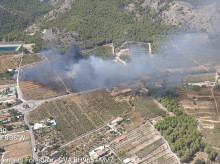 espana/comunidad-valenciana/20260908/declarado-incendio-forestal-lugar-dificil-acceso-pueblo-alicante_456624