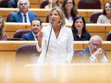 espana/20260908/pp-exige-gobierno-desclasificar-pegasus-saber-docil-invasores_456694