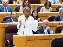 espana/20260924/pp-prosigue-senado-presion-gobierno-ley-nietos-12-exigencias_462398