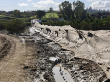 campo-y-caza/20260908/gobierno-dejo-3000-millones-ejecutar-agricultura-transicion-ecologica-2025_456723