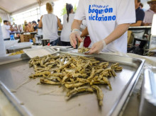 espana/andalucia/malaga/20260910/boqueron-victoriano-celebra-decada-gloria-cocina-directo-1100-kilos-gratis-malaga_456994