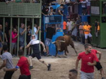 espana/comunidad-valenciana/20260913/anciano-80-anos-muere-sufrir-cogida-toro-pueblo-castellon_458320