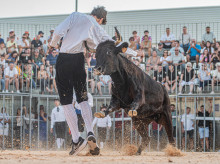espana/comunidad-valenciana/20260914/pobla-llarga-recupera-bous-carrer-15-anos-ausencia_458527